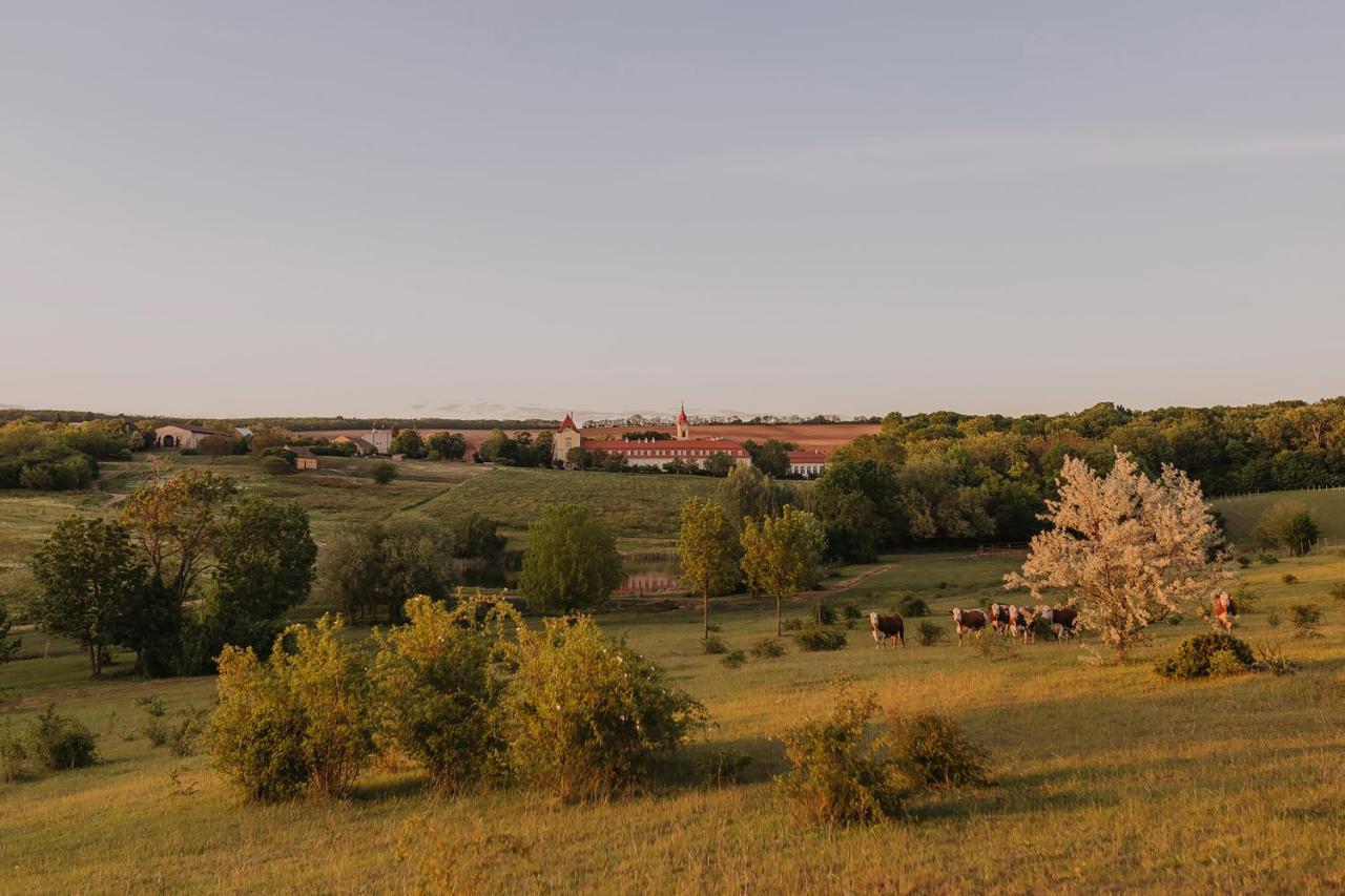 Hotel Chateau Bela Eksteriør bilde